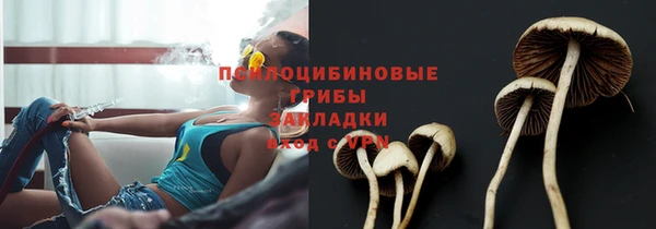 ECSTASY Нея