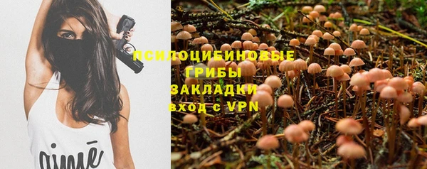 стафф Нефтегорск