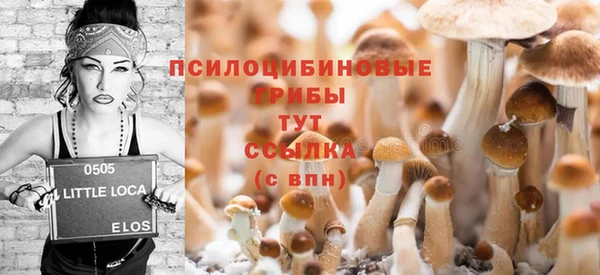стафф Нефтегорск