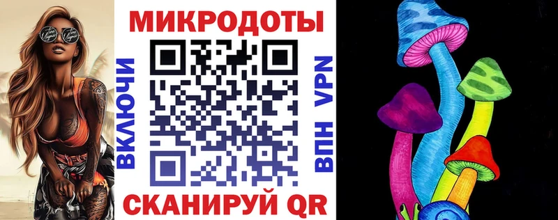 закладка  Отрадное  Галлюциногенные грибы GOLDEN TEACHER 