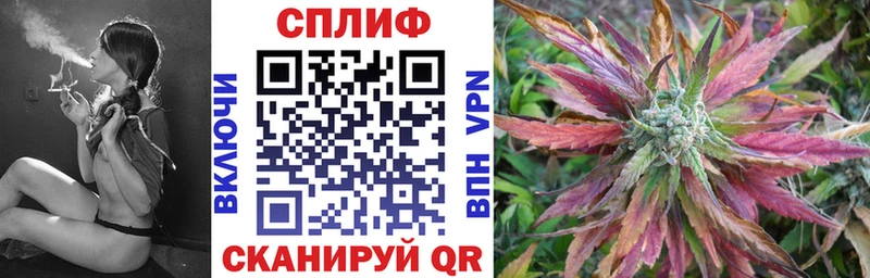 Конопля ГИДРОПОН  Отрадное 